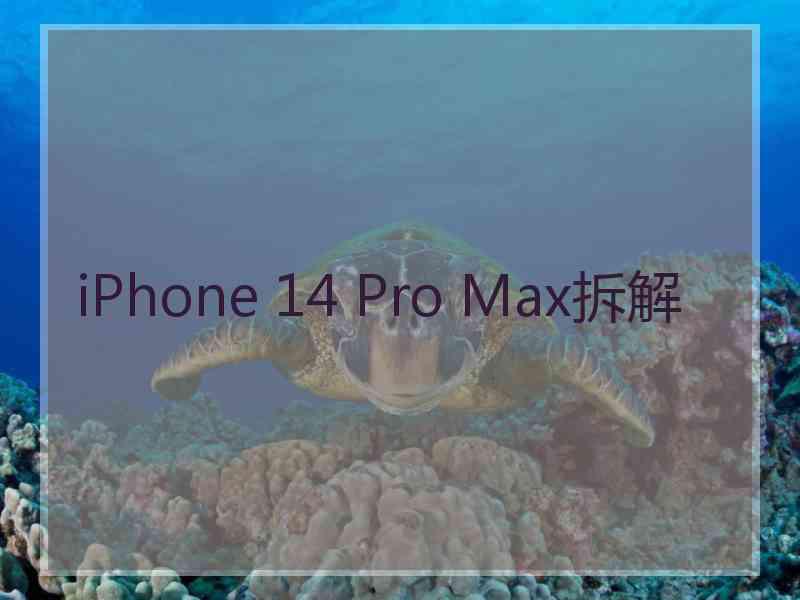 iPhone 14 Pro Max拆解