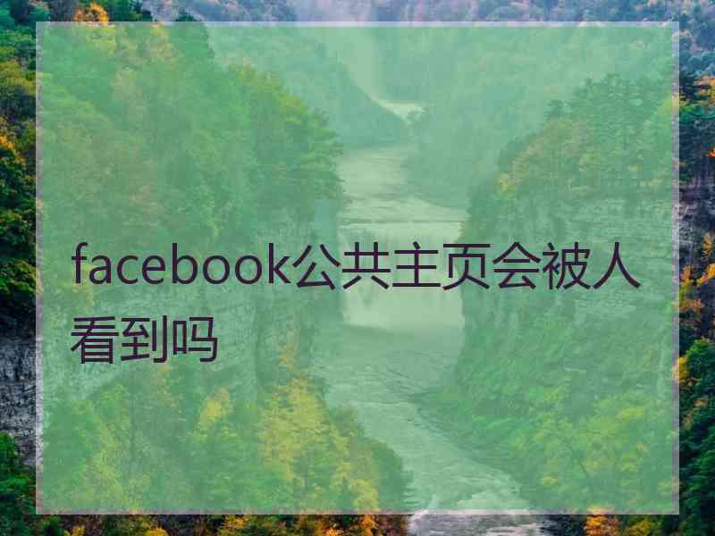 facebook公共主页会被人看到吗