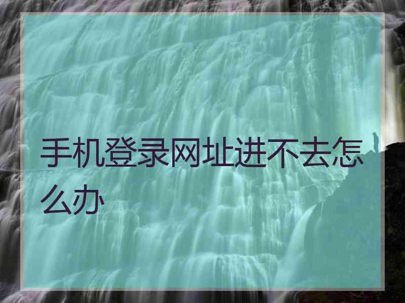 手机登录网址进不去怎么办