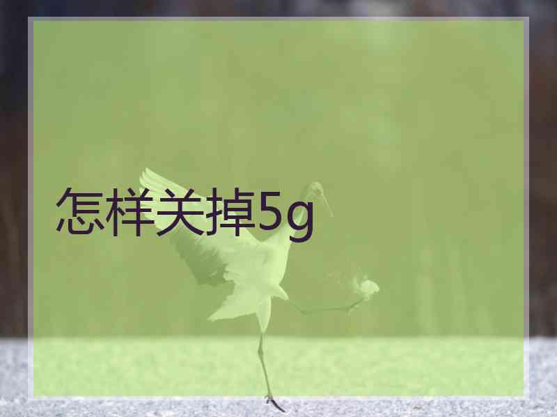 怎样关掉5g