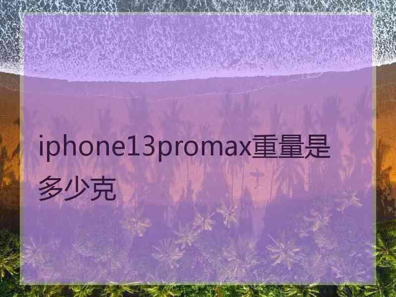 iphone13promax重量是多少克