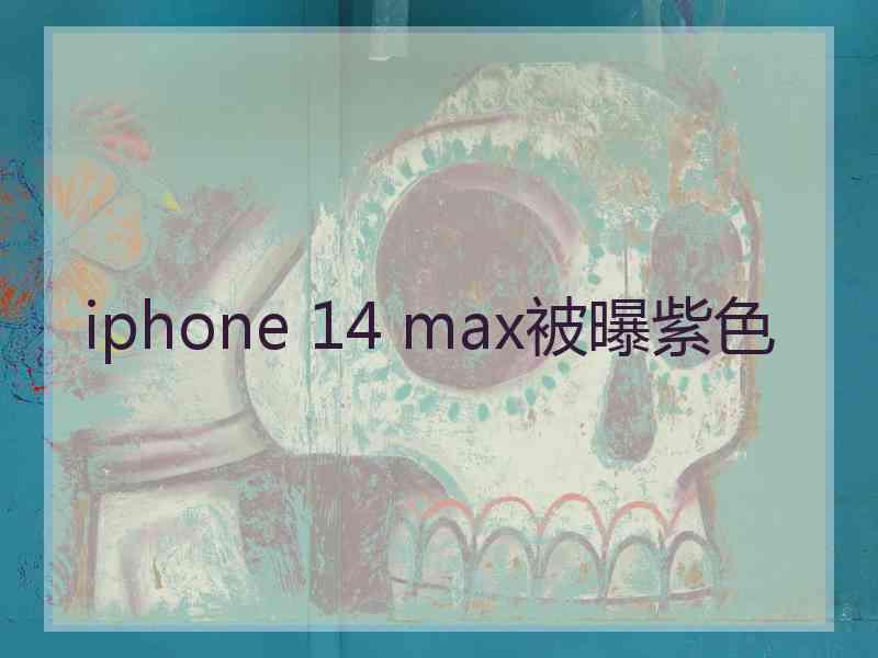 iphone 14 max被曝紫色