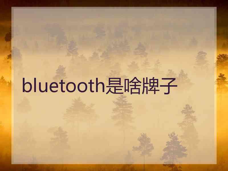 bluetooth是啥牌子