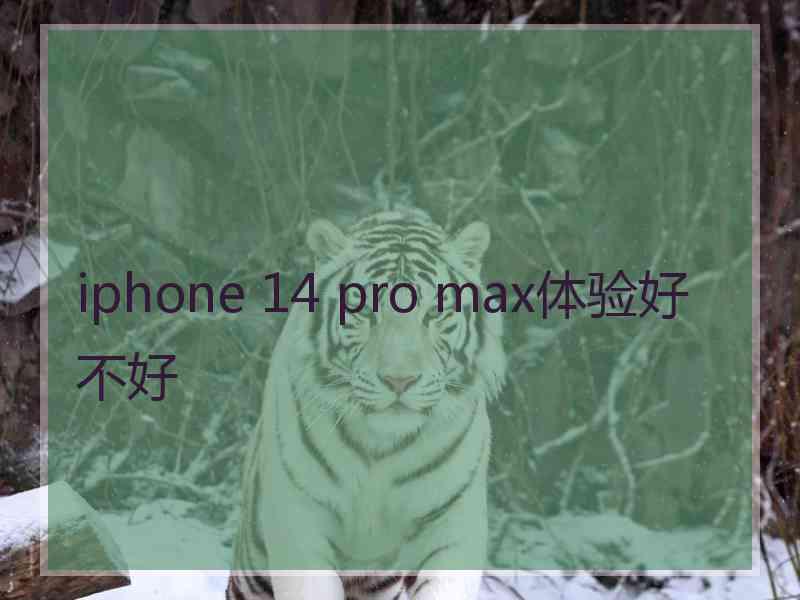 iphone 14 pro max体验好不好