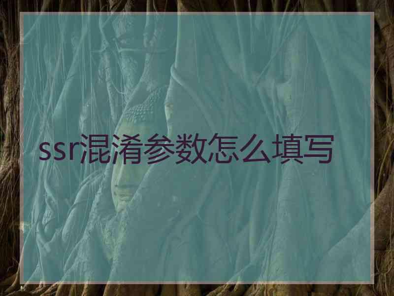 ssr混淆参数怎么填写