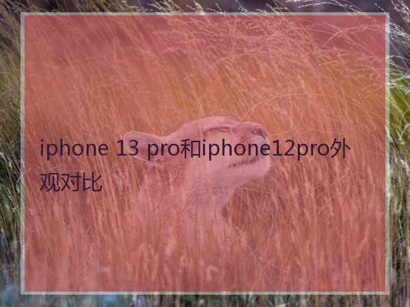 iphone 13 pro和iphone12pro外观对比