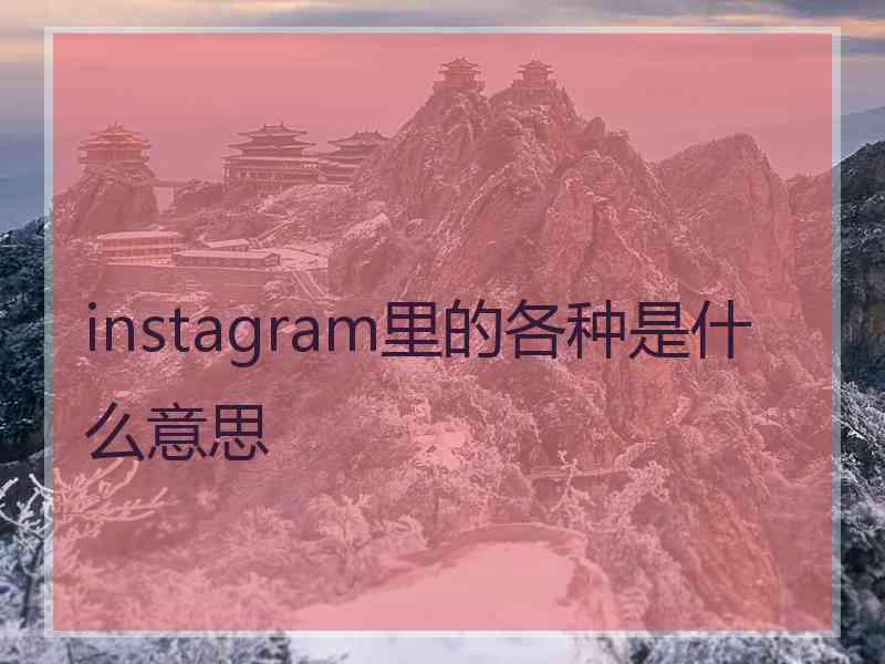 instagram里的各种是什么意思