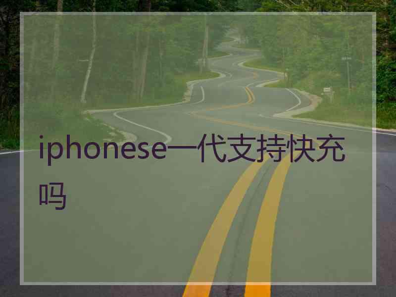 iphonese一代支持快充吗