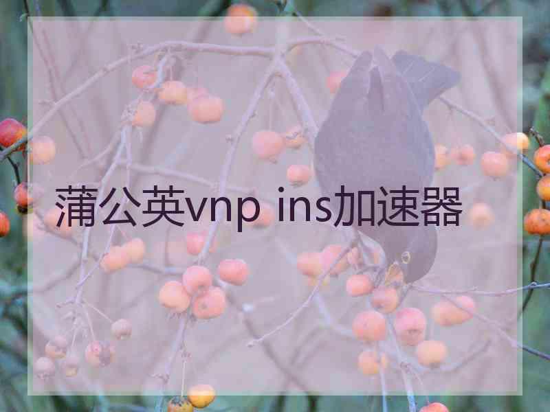 蒲公英vnp ins加速器