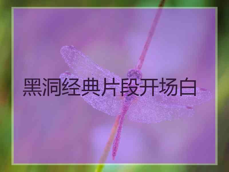 黑洞经典片段开场白