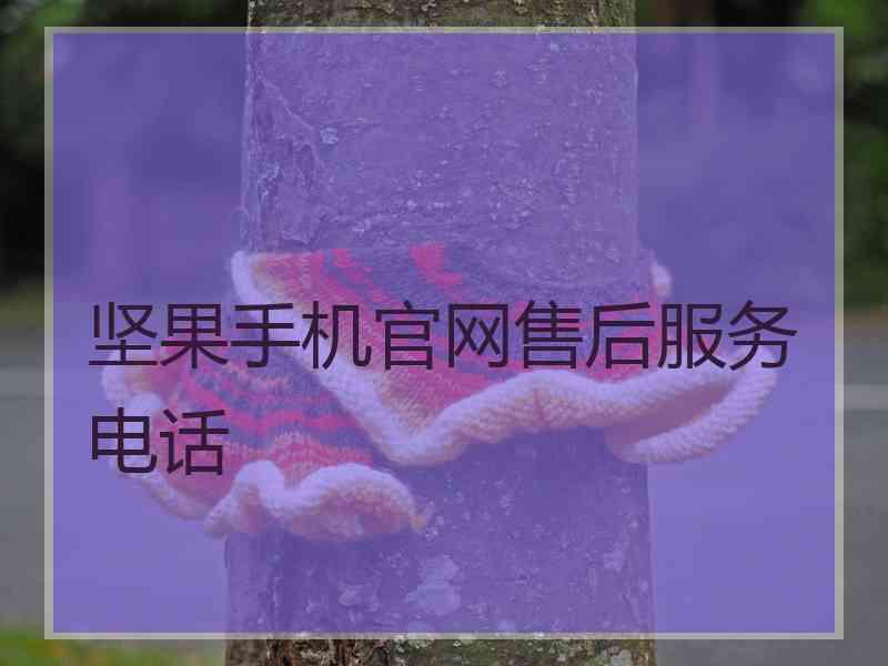 坚果手机官网售后服务电话