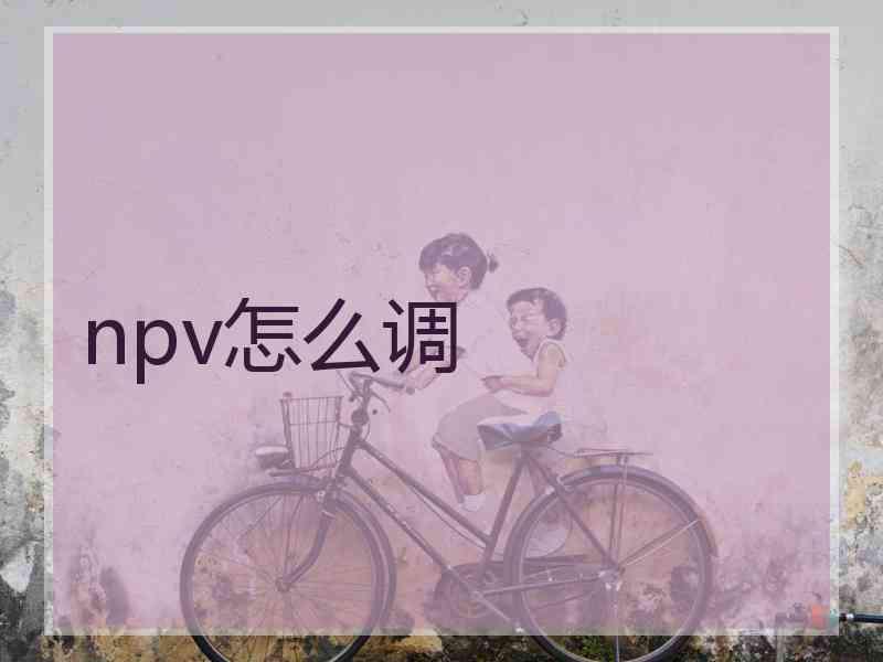 npv怎么调