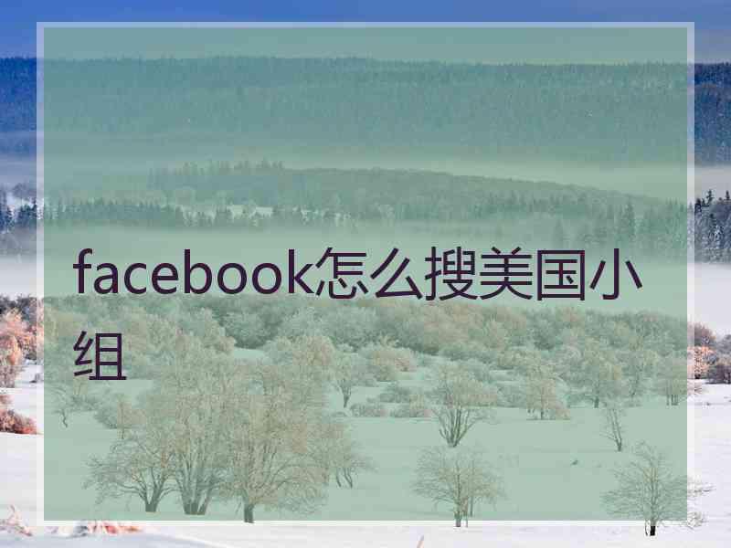 facebook怎么搜美国小组