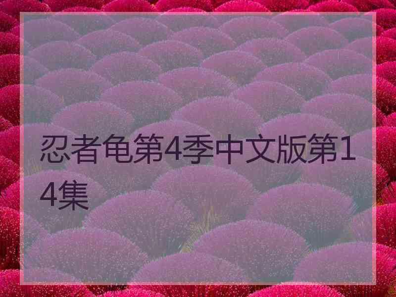 忍者龟第4季中文版第14集