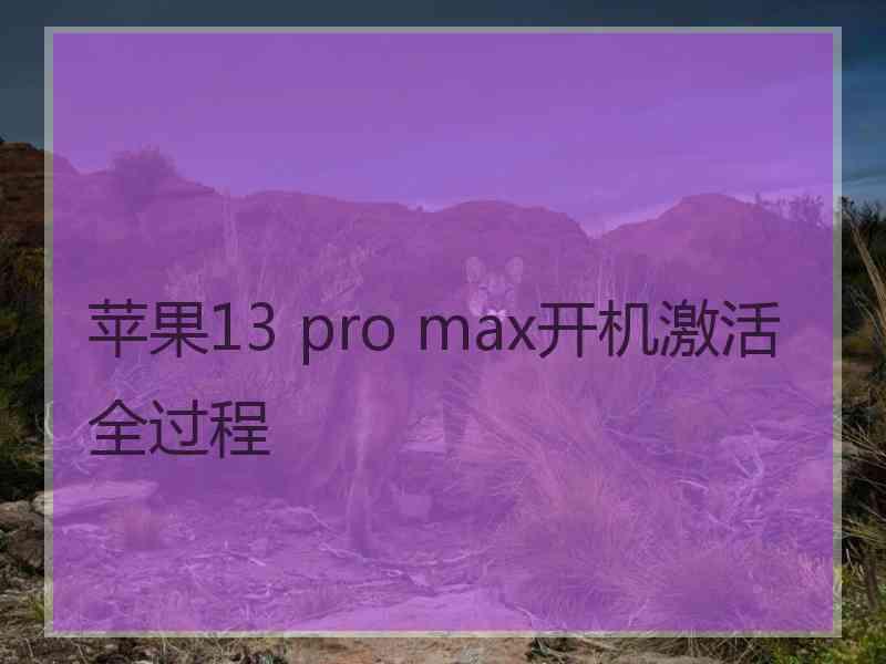 苹果13 pro max开机激活全过程