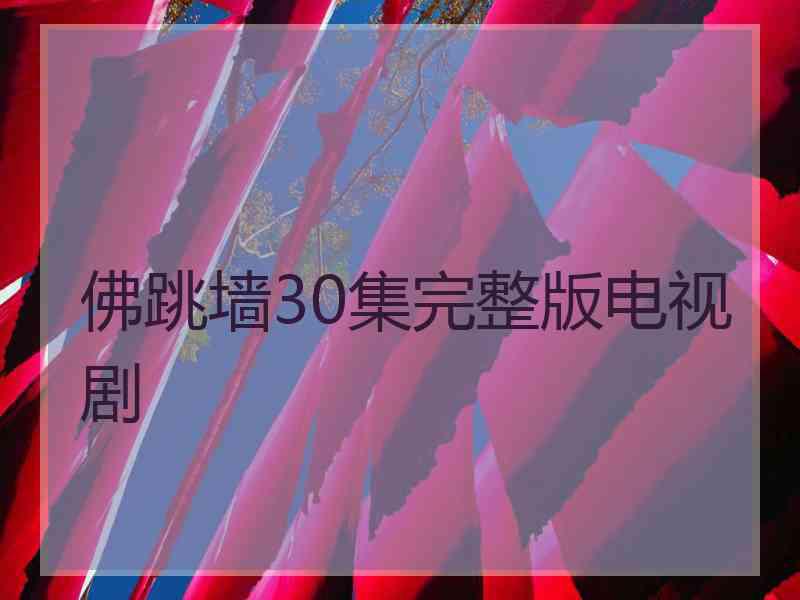 佛跳墙30集完整版电视剧