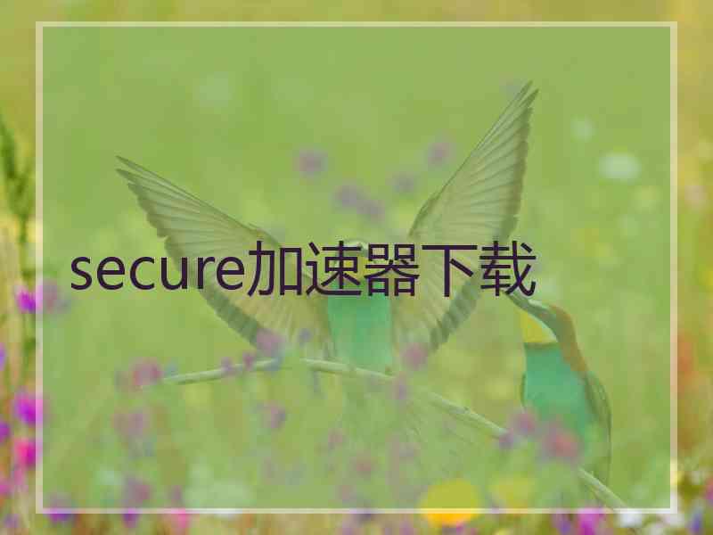 secure加速器下载