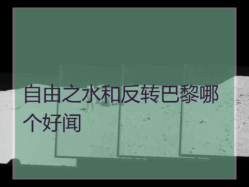 自由之水和反转巴黎哪个好闻