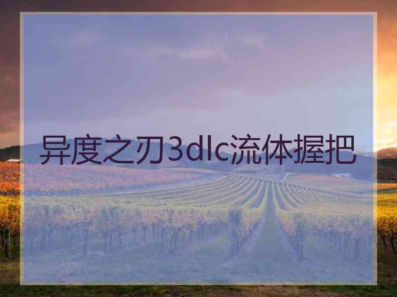 异度之刃3dlc流体握把