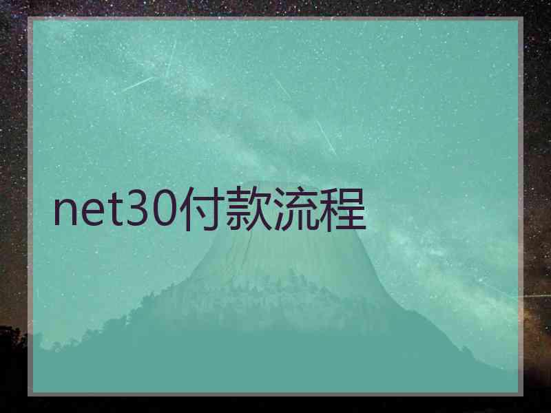 net30付款流程