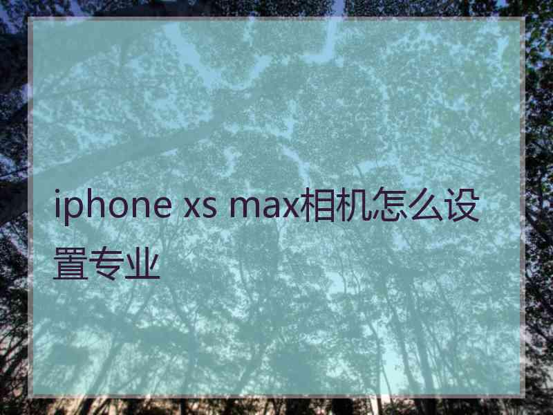 iphone xs max相机怎么设置专业