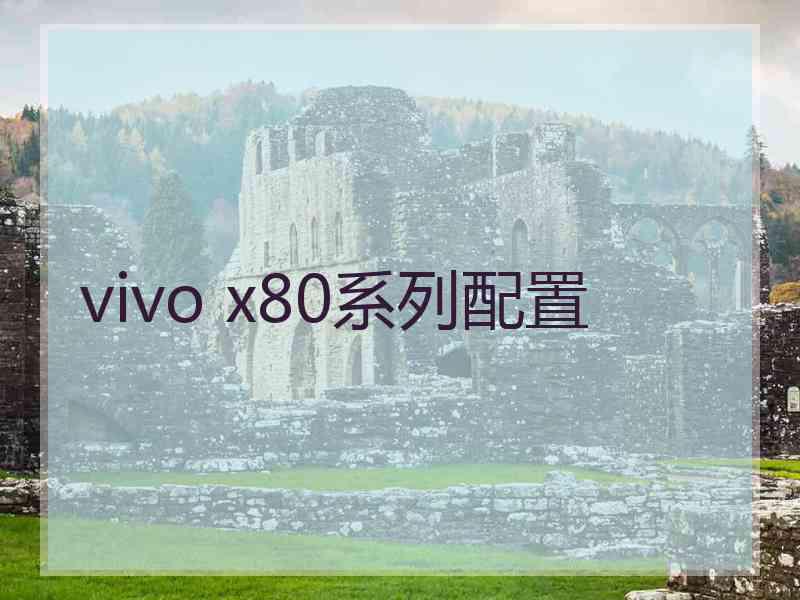 vivo x80系列配置