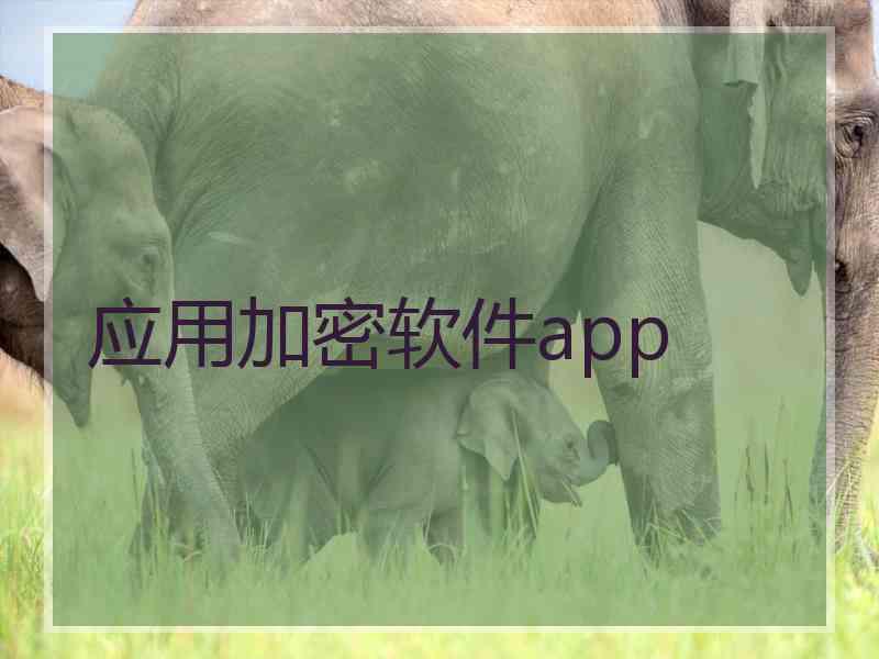 应用加密软件app