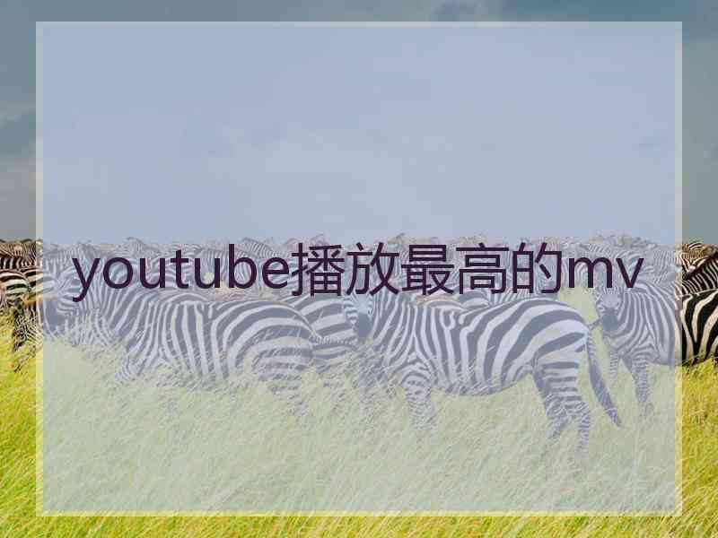 youtube播放最高的mv