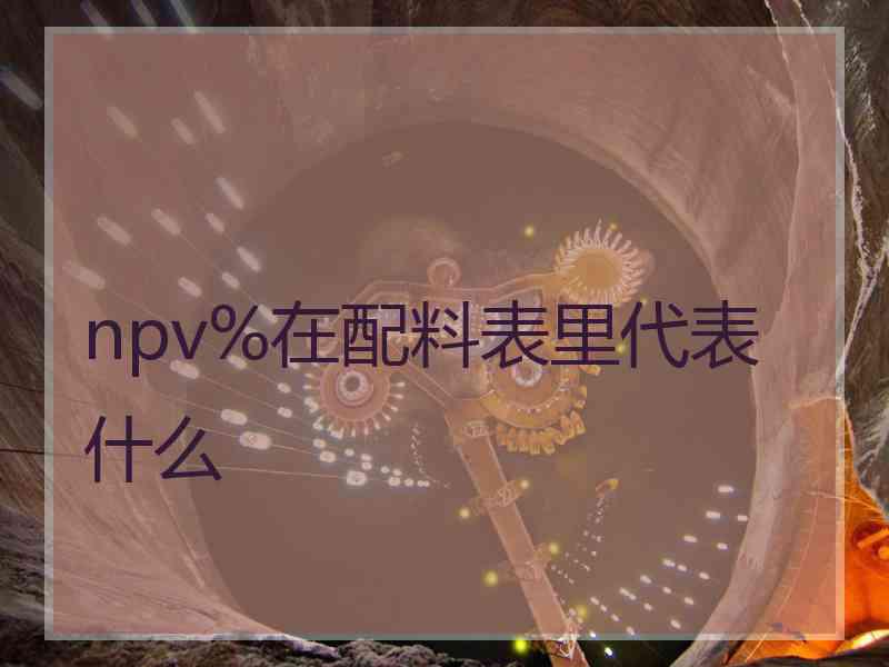 npv%在配料表里代表什么