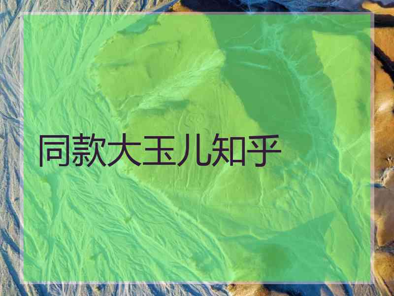 同款大玉儿知乎