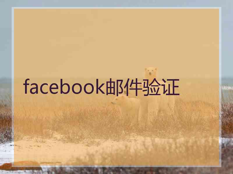 facebook邮件验证