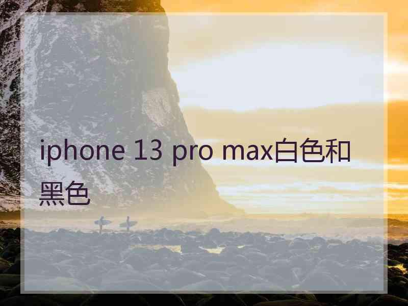 iphone 13 pro max白色和黑色