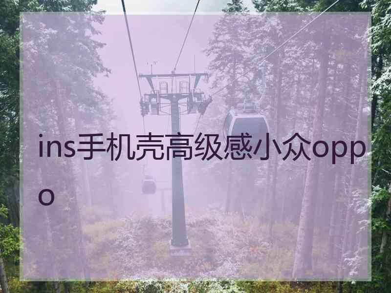 ins手机壳高级感小众oppo