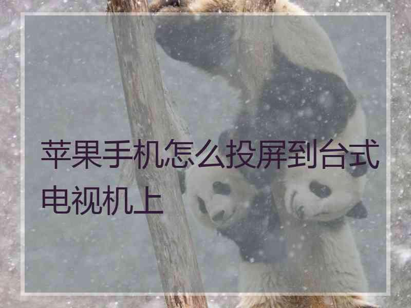 苹果手机怎么投屏到台式电视机上