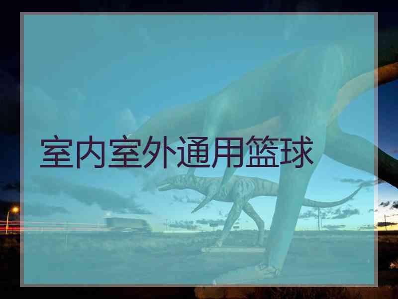 室内室外通用篮球