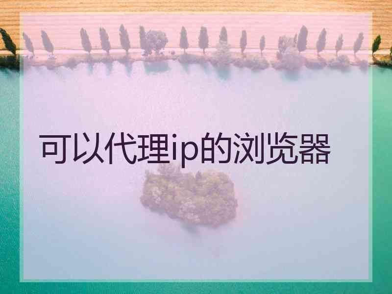 可以代理ip的浏览器