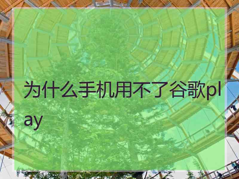 为什么手机用不了谷歌play