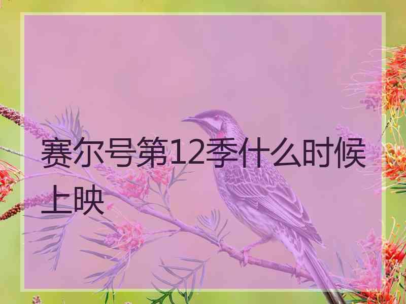 赛尔号第12季什么时候上映