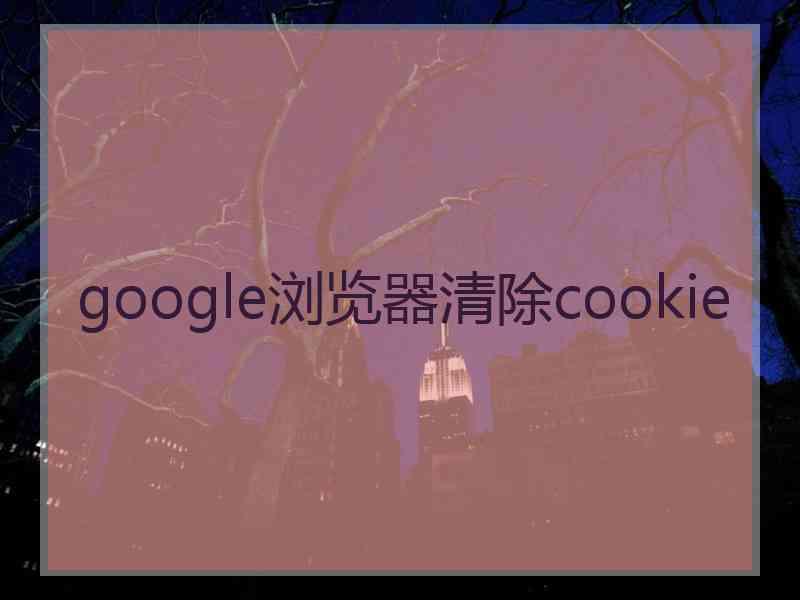 google浏览器清除cookie