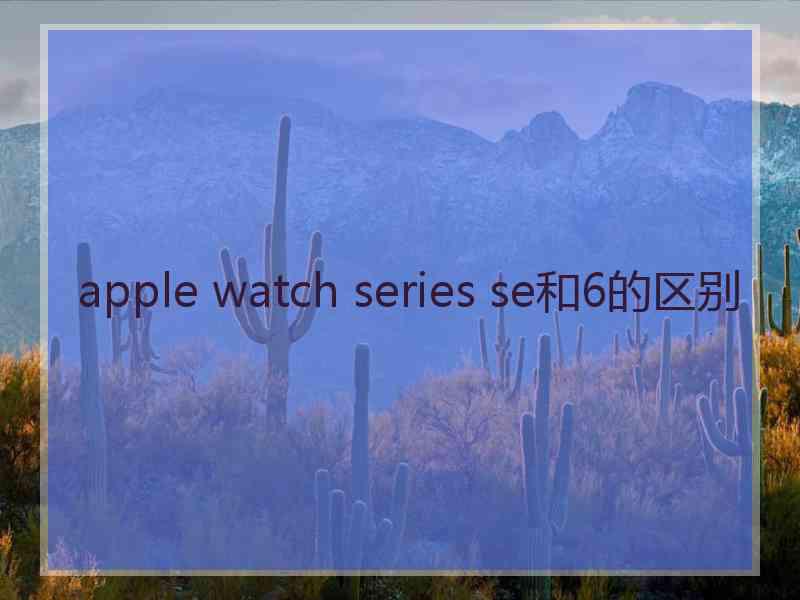 apple watch series se和6的区别