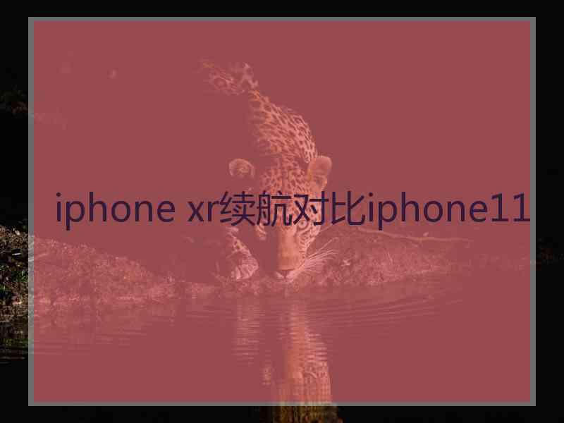 iphone xr续航对比iphone11