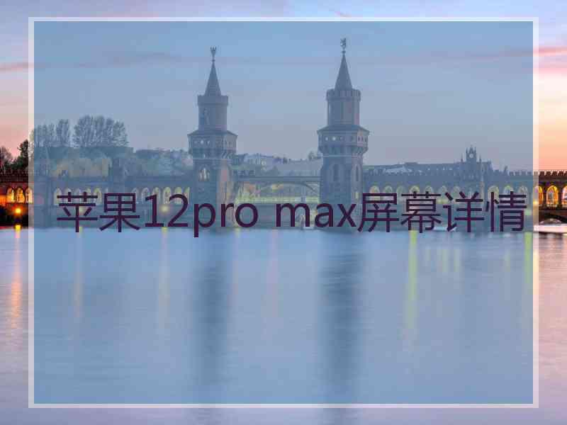 苹果12pro max屏幕详情