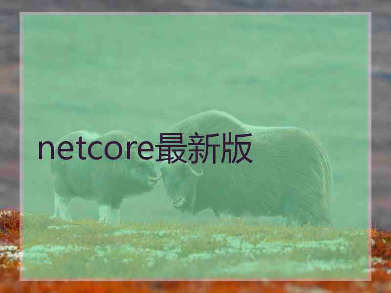 netcore最新版