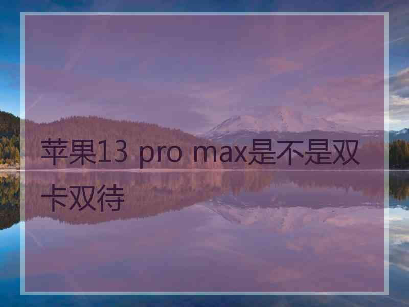 苹果13 pro max是不是双卡双待