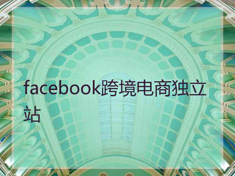 facebook跨境电商独立站