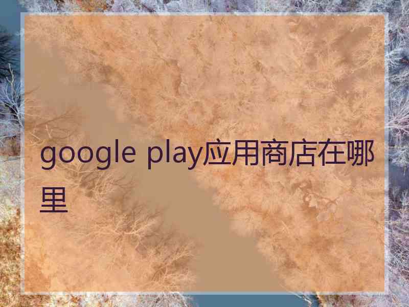 google play应用商店在哪里