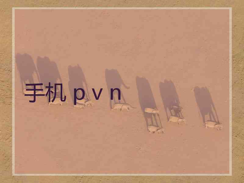 手机 p v n