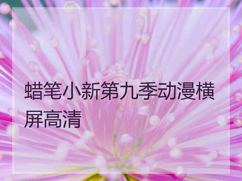 蜡笔小新第九季动漫横屏高清