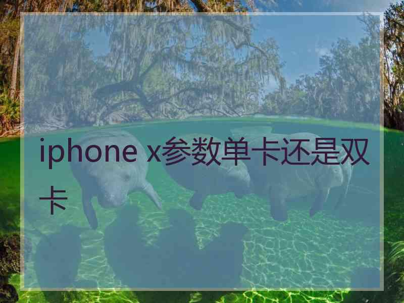 iphone x参数单卡还是双卡