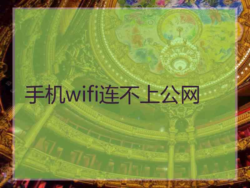 手机wifi连不上公网